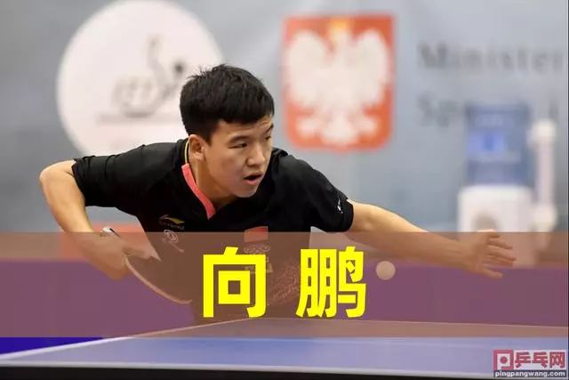 仅是