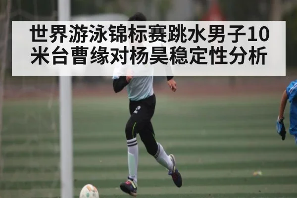 世界游泳锦标赛跳水男子10米台曹缘对杨昊稳定性分析