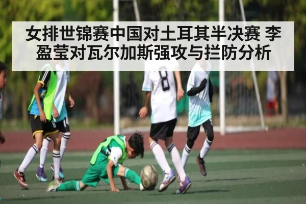 女排世锦赛中国对土耳其半决赛 李盈莹对瓦尔加斯强攻与拦防分析