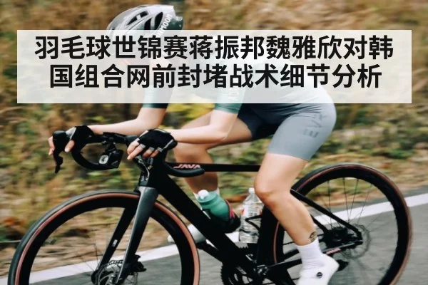 羽毛球世锦赛蒋振邦魏雅欣对韩国组合网前封堵战术细节分析